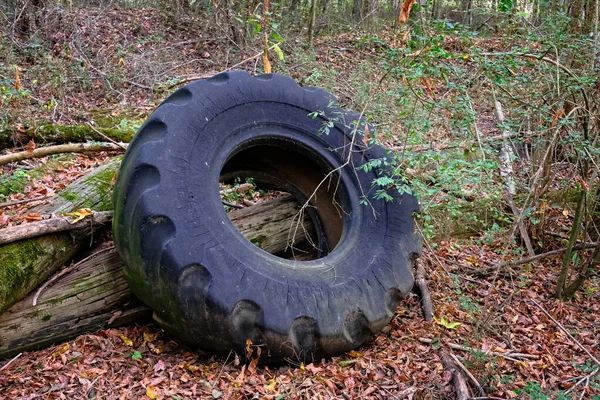 Pneu velho caminhão na floresta — Fotografia de Stock