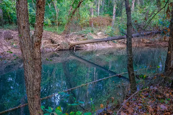 Calmo Green Creek — Fotografia de Stock