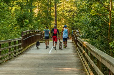 Köprüde Köpeklerle Koşan Adamlar