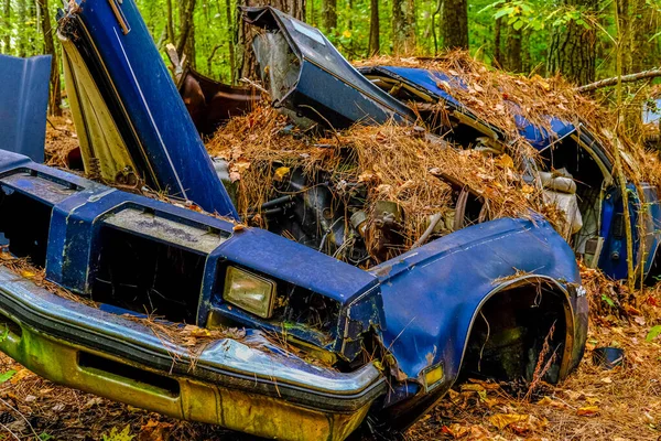 Oude Wrecked Car in het bos Rechtenvrije Stockfoto's