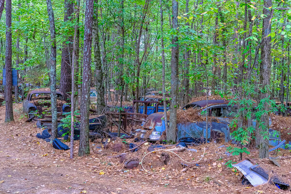 Junk Cars in the Trees