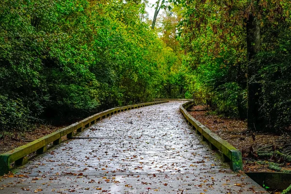 Wet Trail in Autumn — Stock Photo, Image