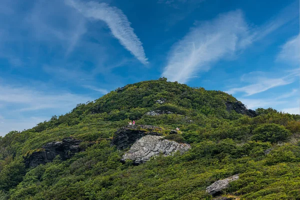 Craggy Gardens Peak — ストック写真