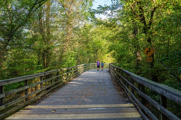 Woodland Trail 'de Yürüyen Çift — Stok fotoğraf