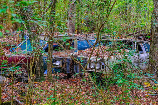 Wrecked Cars in the Weeds