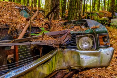 Harap Arabadaki Farlar