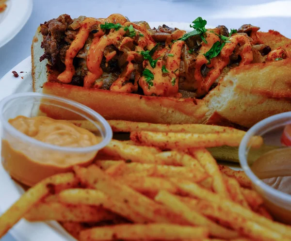 Sándwich de carne y patatas fritas — Foto de Stock