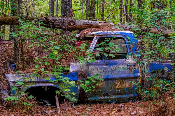 古いピックアップ森の中でゴミ箱 — ストック写真