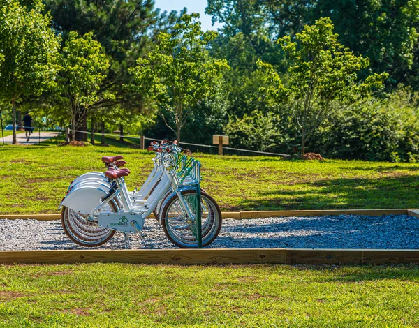 Aluguer Branco Bicicletas — Fotografia de Stock