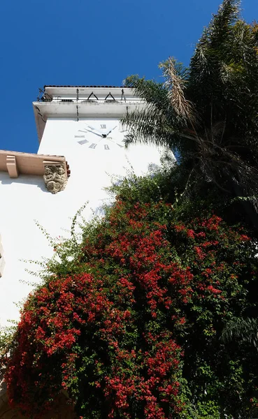 圣巴巴拉钟楼的花朵 — 图库照片