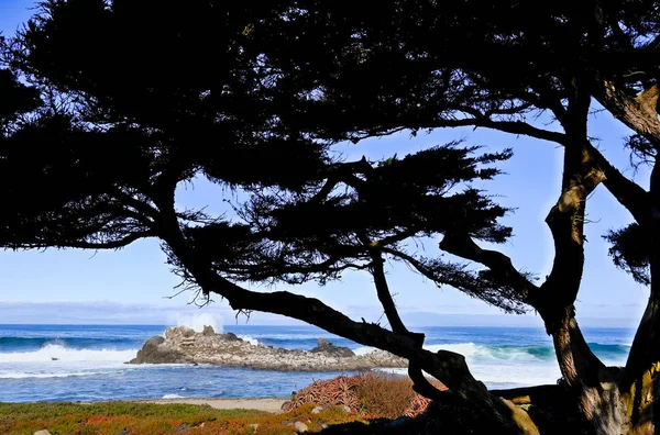 Surf Beyond Cypress sylwetka — Zdjęcie stockowe
