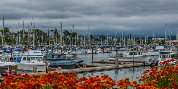 Yachthafen vorbei an Blumen an stürmischem Tag — Stockfoto