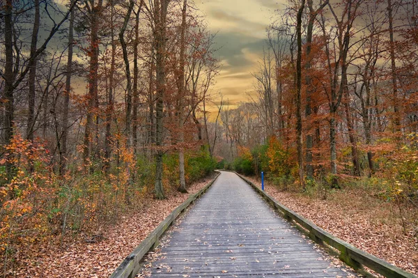 Ősz a Greenway-en — Stock Fotó