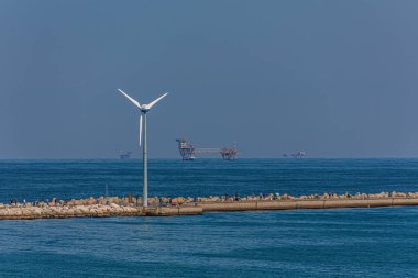 Breakwater 'daki Rüzgar Değirmeni
