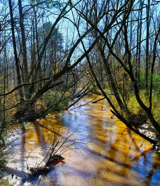 Overflowing River After Flood — Stock Photo, Image