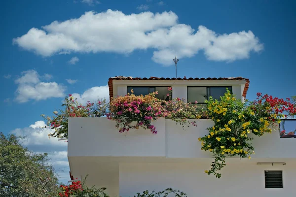 Veranda Flores no gesso casa — Fotografia de Stock