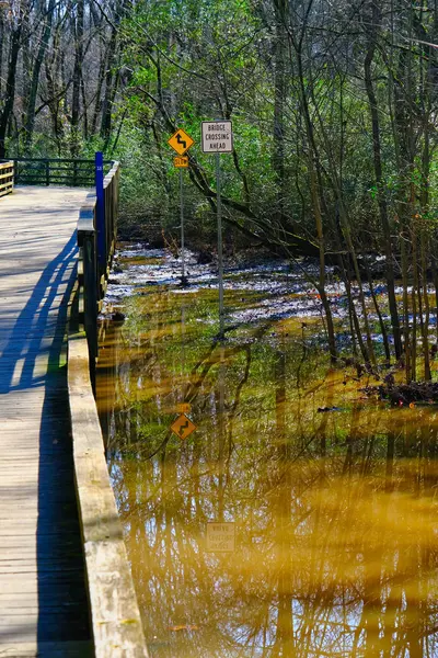 Reflections in Flood Water — Stock Photo, Image