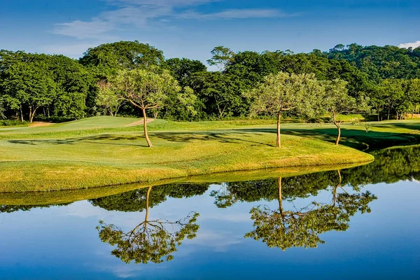 Træer på Lakeshore af golfbane - Stock-foto