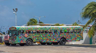 Aruba 'da Vahşi Boyalı Tur Otobüsü