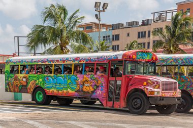 Aruba 'da Didis Turları