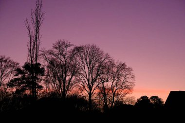 Silouette ve Morning Sky