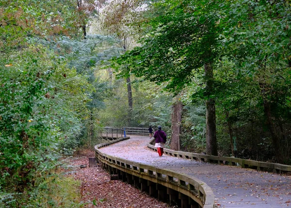 Sentiero escursionistico nel bosco in autunno — Foto Stock