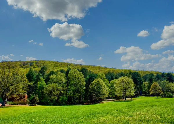 Rolling Green Hills and Nice Sky — Stock fotografie