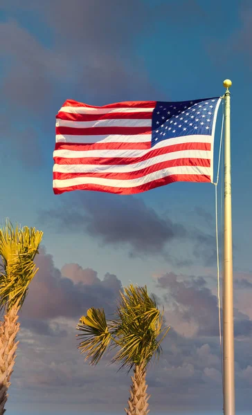 Amerikanische Flagge über Palmen in der Abenddämmerung — Stockfoto