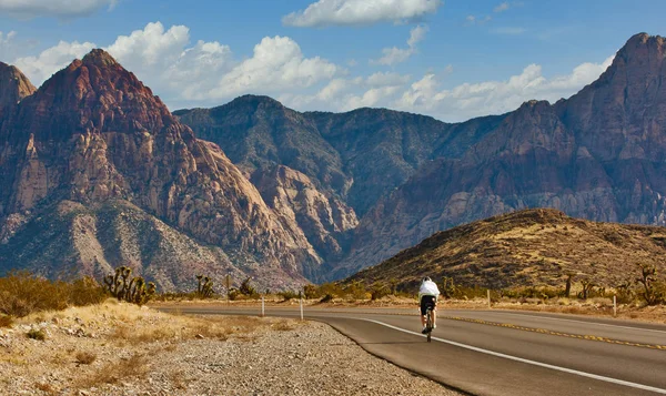 Ciclista en la carretera del desierto hacia las montañas — Foto de Stock