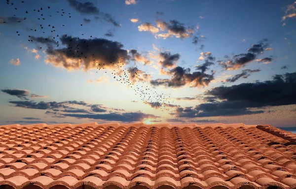 Vörös agyag cserép tető alatt a naplemente ég — Stock Fotó