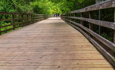 İzde Yeni İşlenmiş Kereste