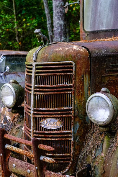 Grill de vieux camion Mack — Photo