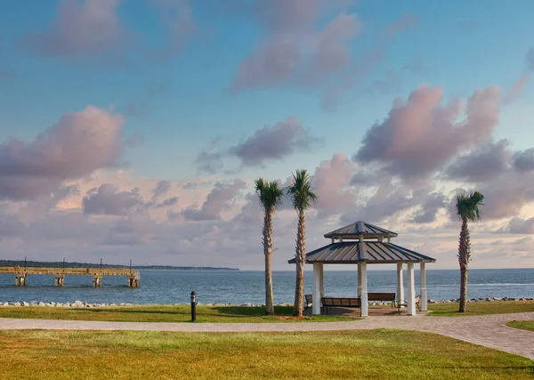 Pavilion and Palm Trees on Coast — Stockfoto