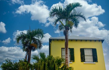 Yellow and Green Home Under Palm Tree