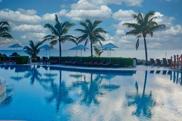 Palm Trees by Pool In Early Morning — Zdjęcie stockowe