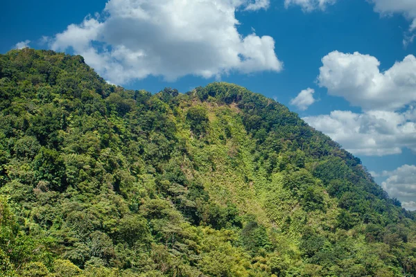 Lush Green Tropical Hill in Dominica — стокове фото