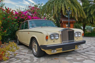 Tropik Bahçede Rolls Royce