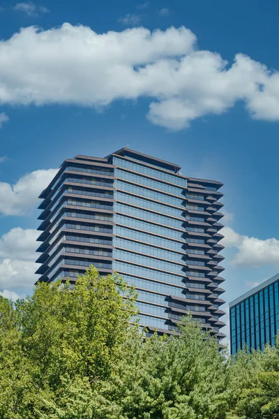 Black Office Tower Rising out of Green Trees — Stock fotografie