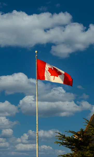 Bandeira canadense no céu azul — Fotografia de Stock