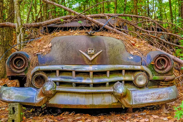 Cadillac onder pijnboomledematen — Stockfoto