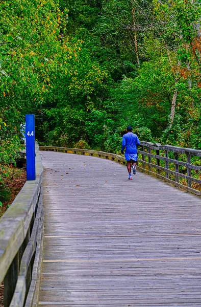 Corridore solitario sul sentiero di legno — Foto Stock