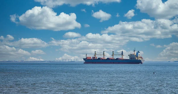 Pelikantauchen auf Baggerschiff bei Brücke — Stockfoto