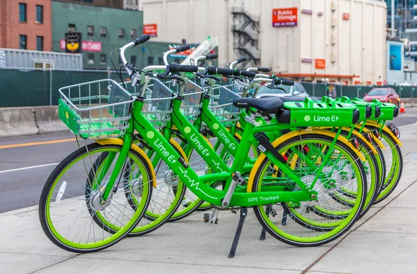 Vier lindgrüne Fahrräder — Stockfoto