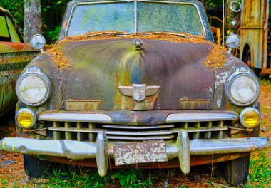 Eski Studebaker Şampiyonu