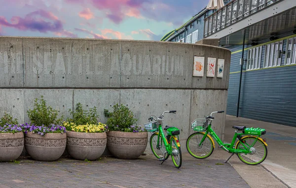 Noleggio biciclette all'Acquario di Seattle — Foto Stock