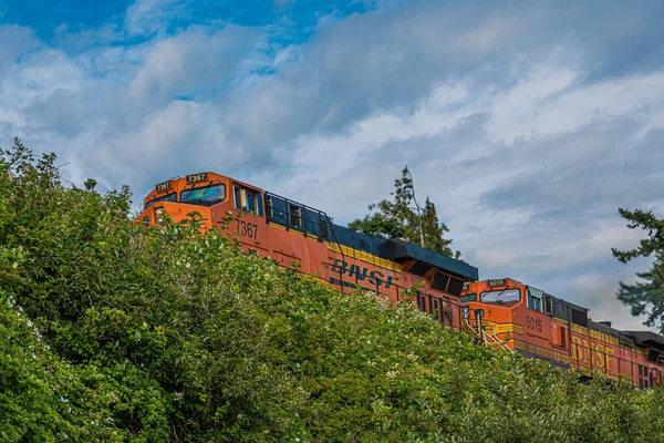 Treno sopra arbusti verdi — Foto Stock