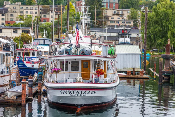 GyrFalcon w Seattle — Zdjęcie stockowe