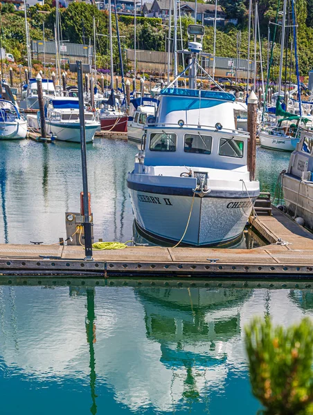 Cerise II à Bellingham — Photo