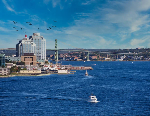 Barco blanco saliendo de Halifax —  Fotos de Stock