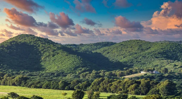 Collines sur la côte tropicale verte — Photo